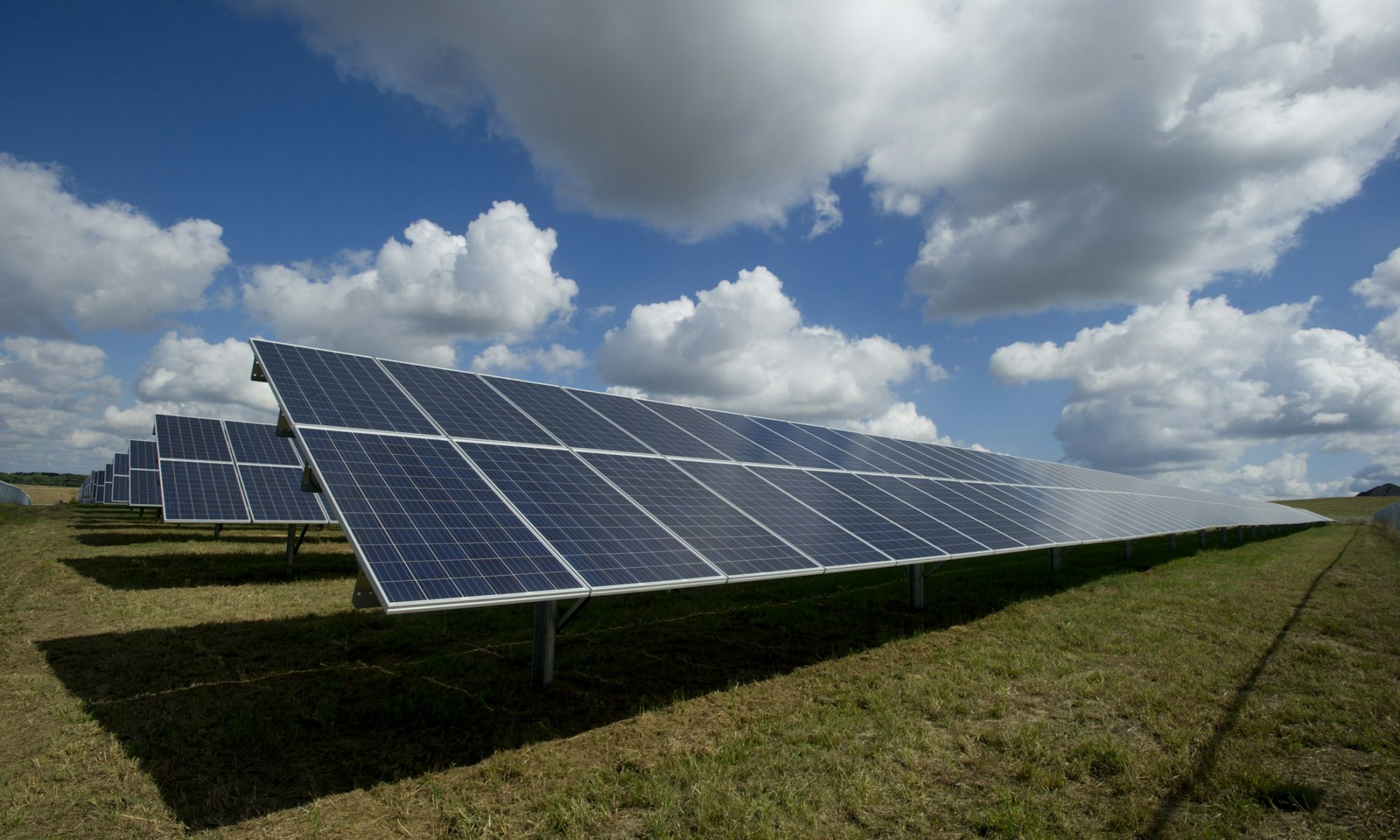 Rows of solar panels collecting sunlight